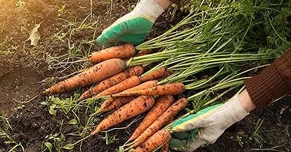 Products from Woods Creek Seeds in use