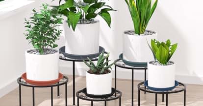 Products from SAUCERHOME in use