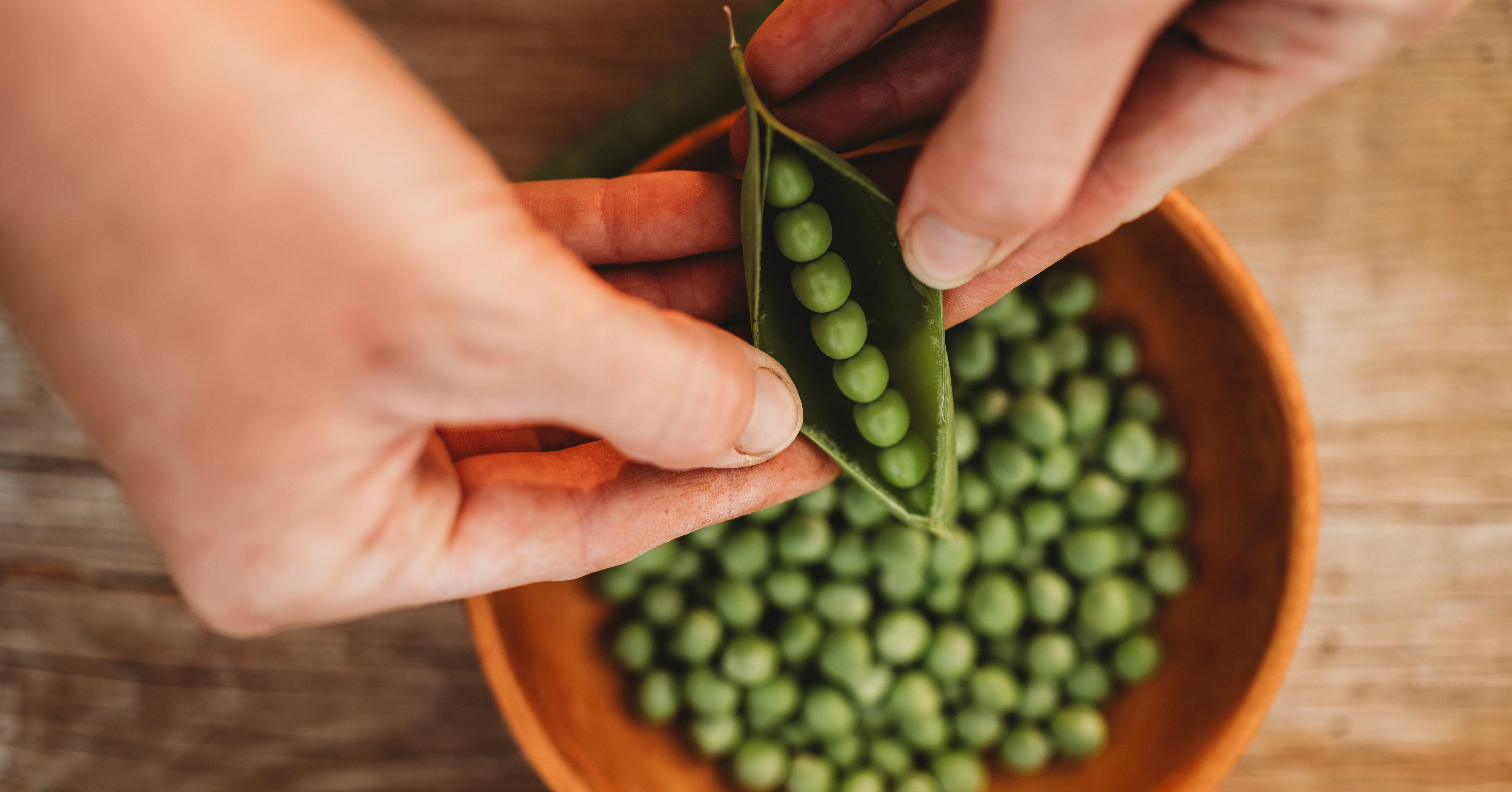 Products from Thresh Seed Co. in use