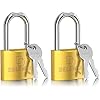 DELSWIN Weatherproof Padlock with Key - Heavy Duty Gym Locker Lock with 1-9/16" Solid Brass Lock Body, Hardened Steel Shackle, Marine Grade Pad Lock for Outdoor Gate, Fence, Shed (Keyed Alike, 2 Pack)