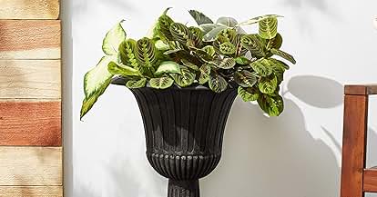 Products from Arcadia Garden Products in use