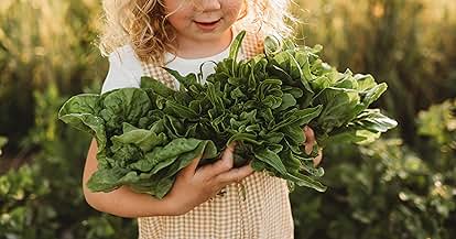 Products from Thresh Seed Co. in use
