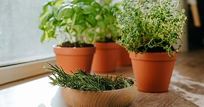 Products from Park Seed in use