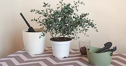 Products from Park Seed in use