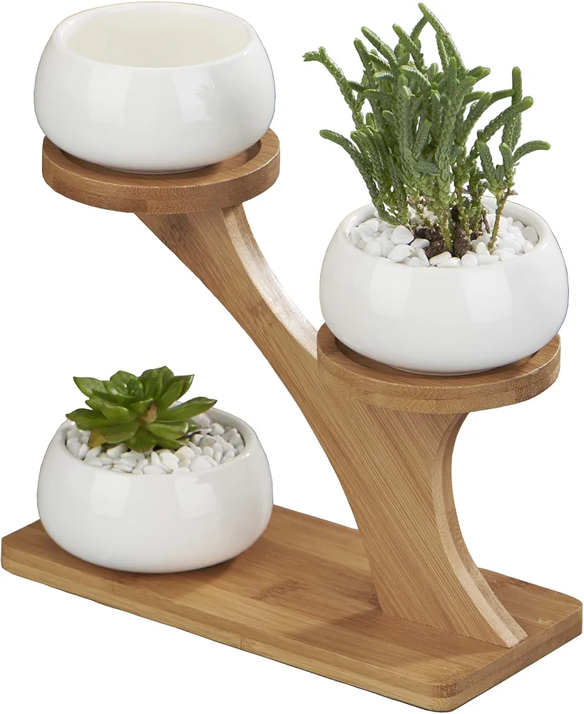 Planter Pots Indoor, 3 Pack 3 Inch White Ceramic Decorative Small Round Succulent Cactus Flower Plant Pot with Tree Tier Bamboo Stand for Garden Kitchen Home Office Desk Decorations