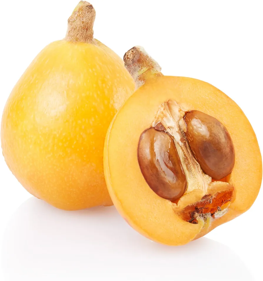 KVITER 10 Organic Non-GMO Loquat Fruit Tree Seeds - Evergreen Bonsai Tree for Full Sun - Sweet Yellow & Green Fruits Ideal for Fruit Enthusiasts, Seasonal Gardeners, Urban & Organic Gardeners