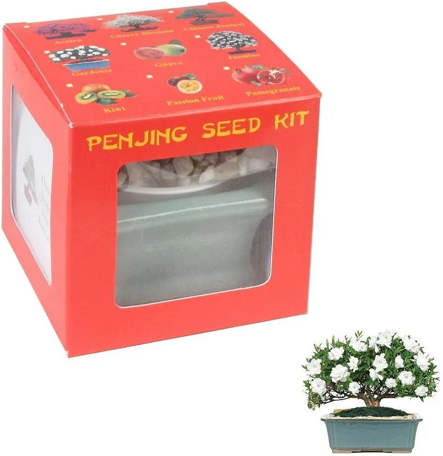 Eve's Garden Dwarf Gardenia Penjing Seed Kit, The Chinese Art of Bonsai, Complete Kit to Grow Flowering Dwarf Gardenia Penjing from Seed