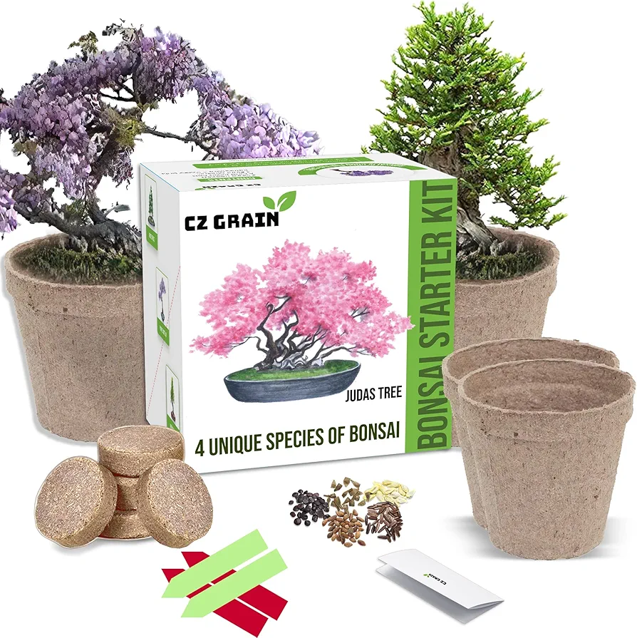 Bonsai Tree Kit - Grow 4 Types of Bonsai Tree from Seed - Highly Desired Species