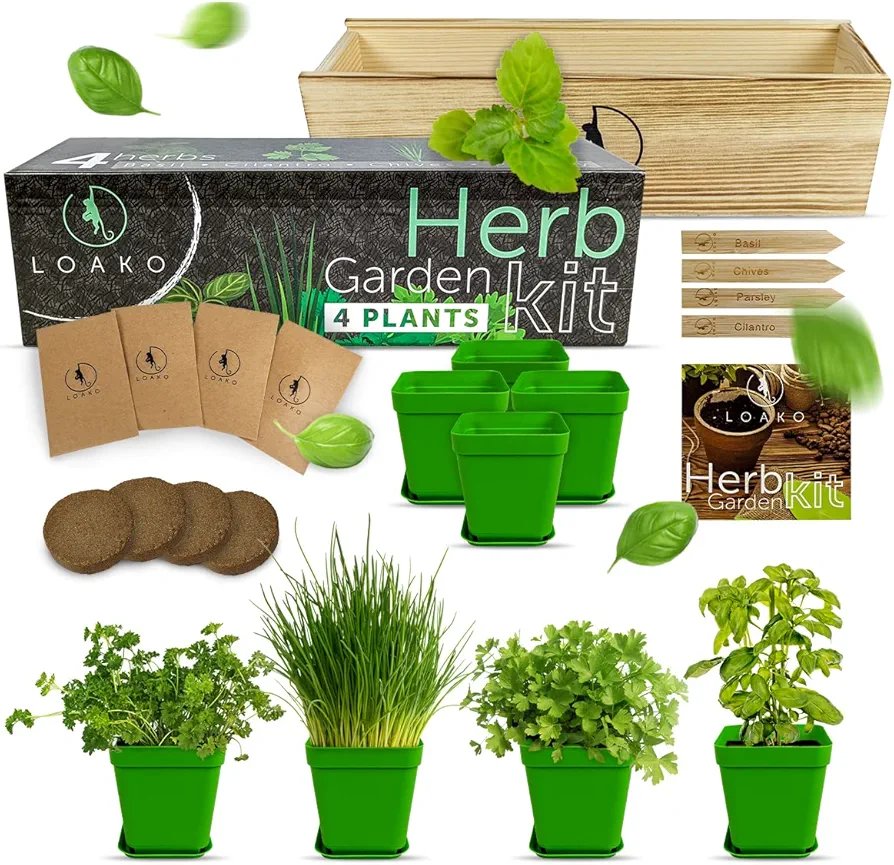 Indoor Herb Garden Starter Kit - DIY Kits for Adults - 4 Herb Seeds Growing Kit - Crafts for Adults - Home Seed Starter Grow Plant Kit - Craft Kits for Adults - Basil, Parsley, Cilantro, Chives