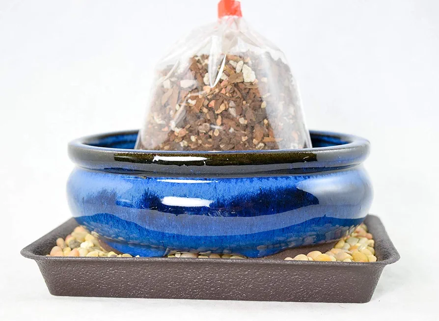 6" Oval Dark Blue Glazed Bonsai Pot, Cactus & Succulent Planter + Soil + Tray + Rock + Mesh Kit (638-6B KIT)
