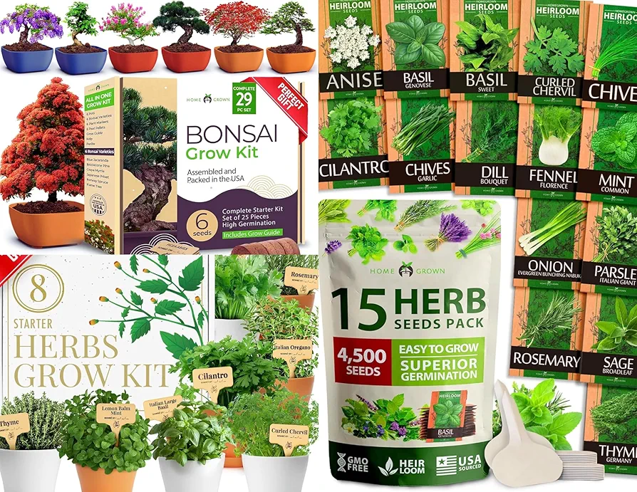 HOME GROWN 15 Culinary Herb Seeds - Heirloom & Non GMO & HOME GROWN Deluxe 8 Herb Garden Kit & HOME GROWN Bonsai Tree Kit