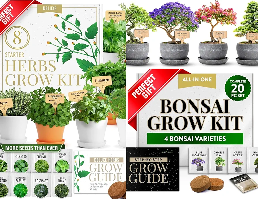 HOME GROWN Deluxe 8 Herb Garden Kit & HOME GROWN Bonsai Tree Kit – Easy to Grow 4 Species of Bonsai