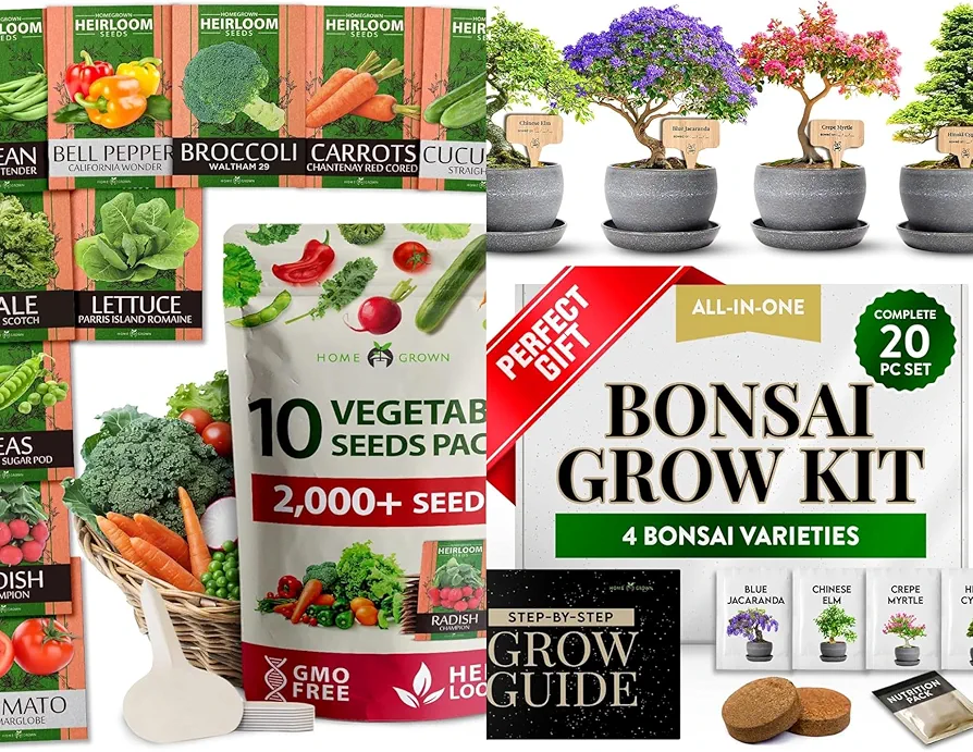 2,000+ Vegetable Seeds for Planting - HOME GROWN Bonsai Tree Kit – Easy to Grow 4 Species of Bonsai