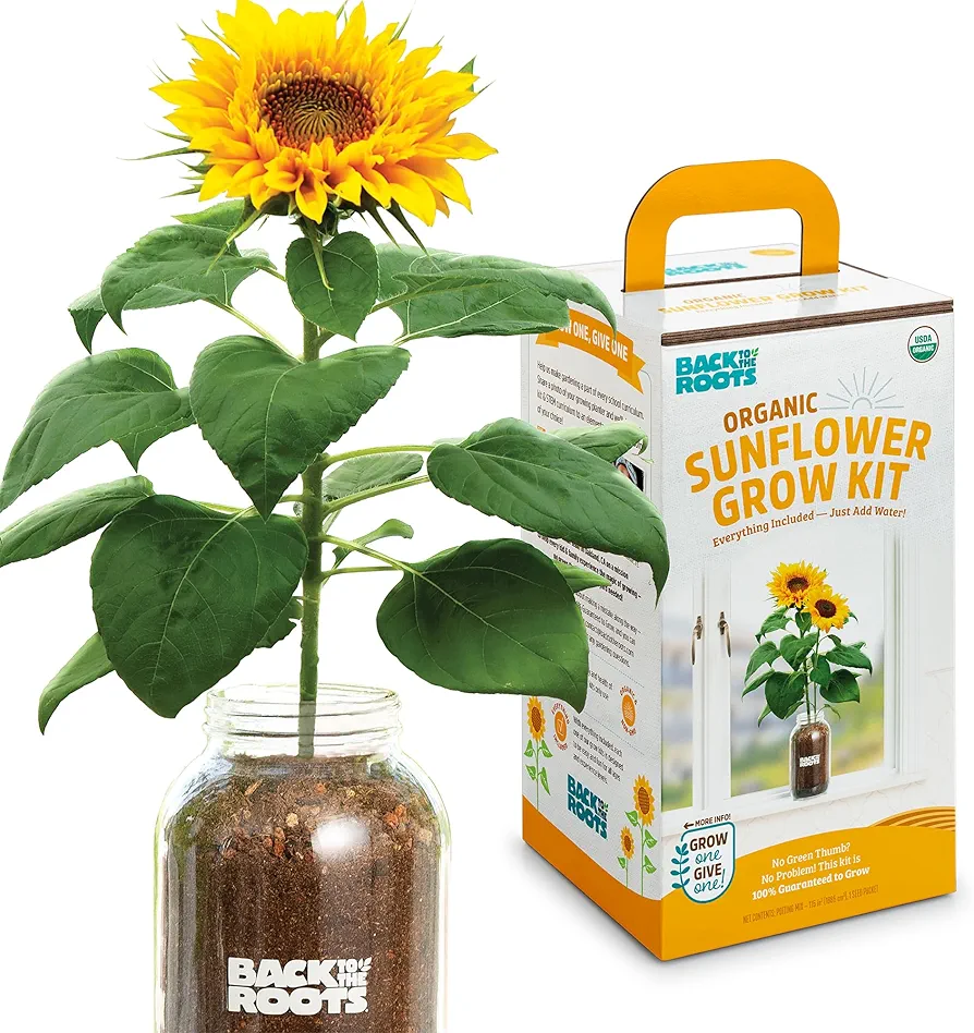 Back to the Roots Sunflower Organic Windowsill Planter Kit - Grows Year Round, Includes Everything Needed For Planting