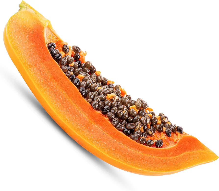 KVITER 20 Dwarf Waimanalo Papaya Seeds - Organic Fruit Tree Seeds - Carica Papaya Bonsai Tree - Fast Growing Live Plants - Indoor Houseplant - Fresh Fruit for You