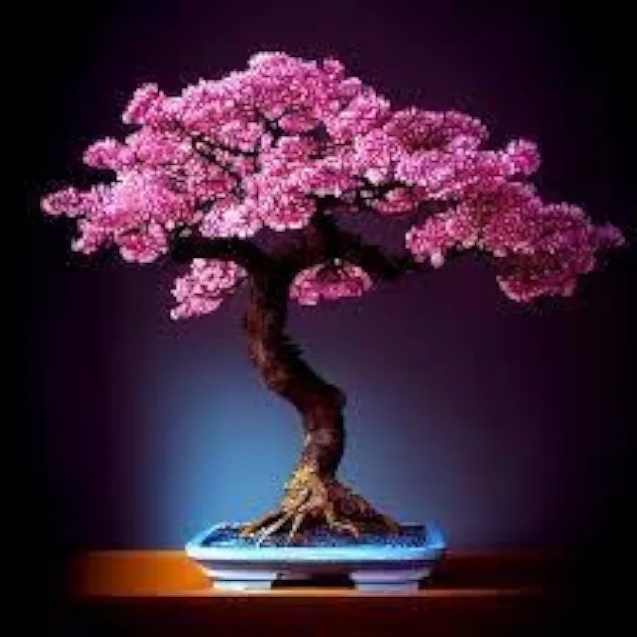 Flowering Bonsai Tree Variety Pack