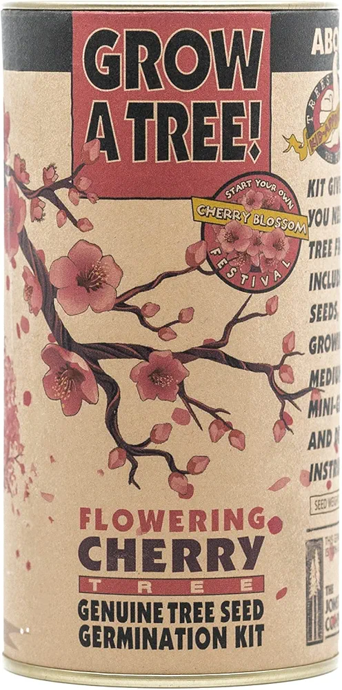 Flowering Cherry Blossom | Tree Seed Grow Kit | The Jonsteen Company