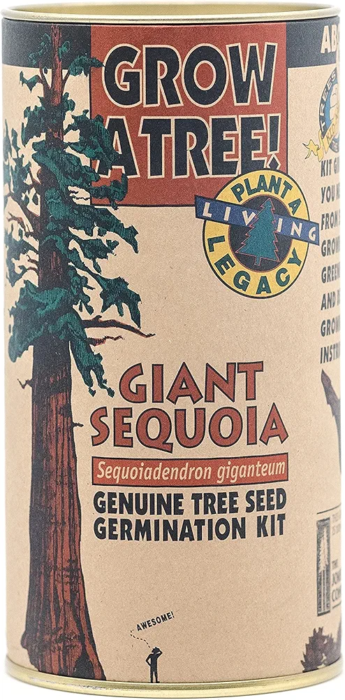 Giant Sequoia | Tree Seed Grow Kit | The Jonsteen Company