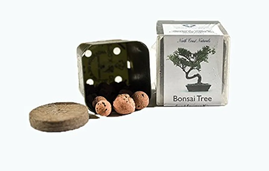 North Coast Naturals Bonsai Starter Kit - The Simple Bonsai Tree Beginner Gift Set