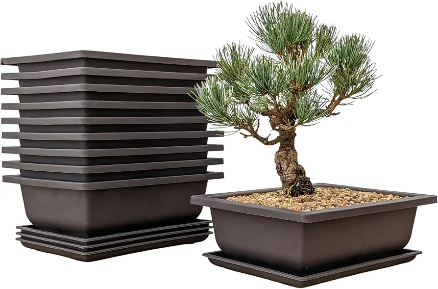 Bonsai Training Pots Humidity Trays - Built in Mesh 8-Inch Large Planters + Made from Durable Shatter Proof Poly-Resin, 9 Pack Pot Set