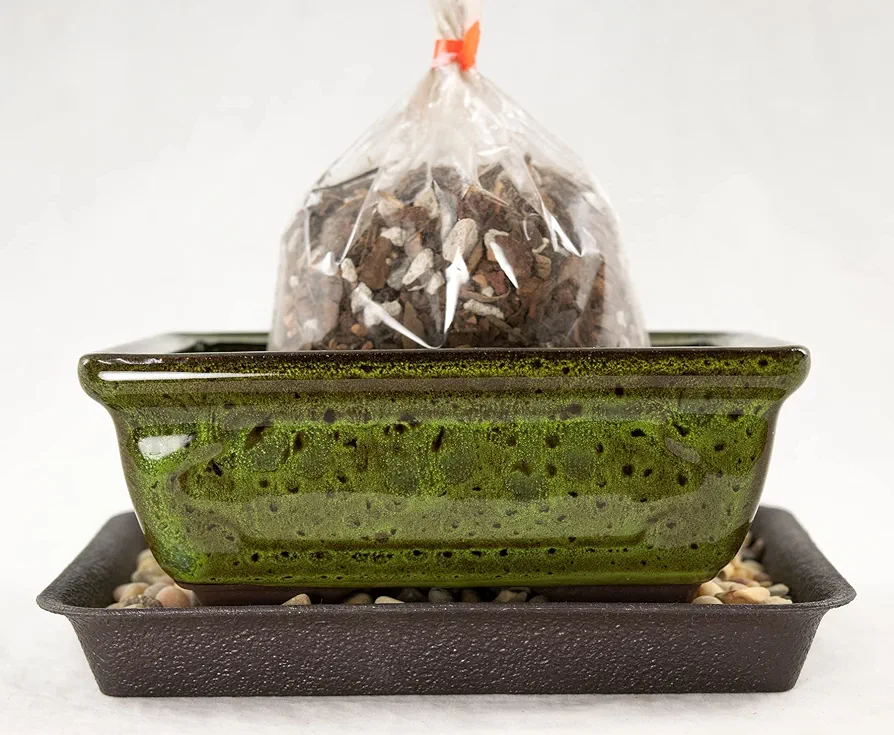 6'' Rectangular Moss Green Shohin Bonsai Pot + Soil + Tray + Rock + Mesh Kit, Blue,green