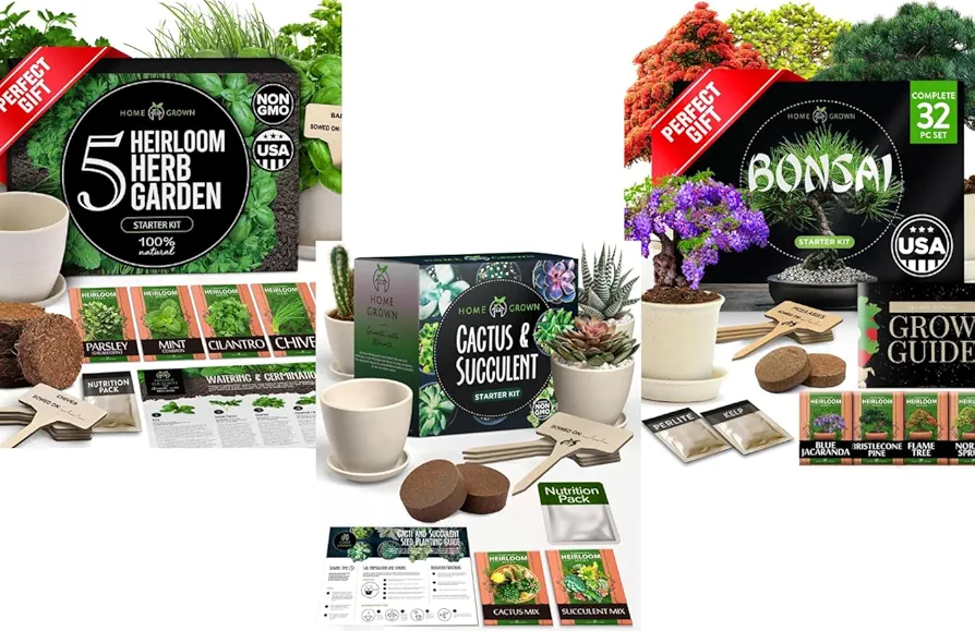 HOME GROWN Indoor Herb Garden Starter Kit & Bonsai Tree Kit, Grow Your Own & Succulent & Cactus