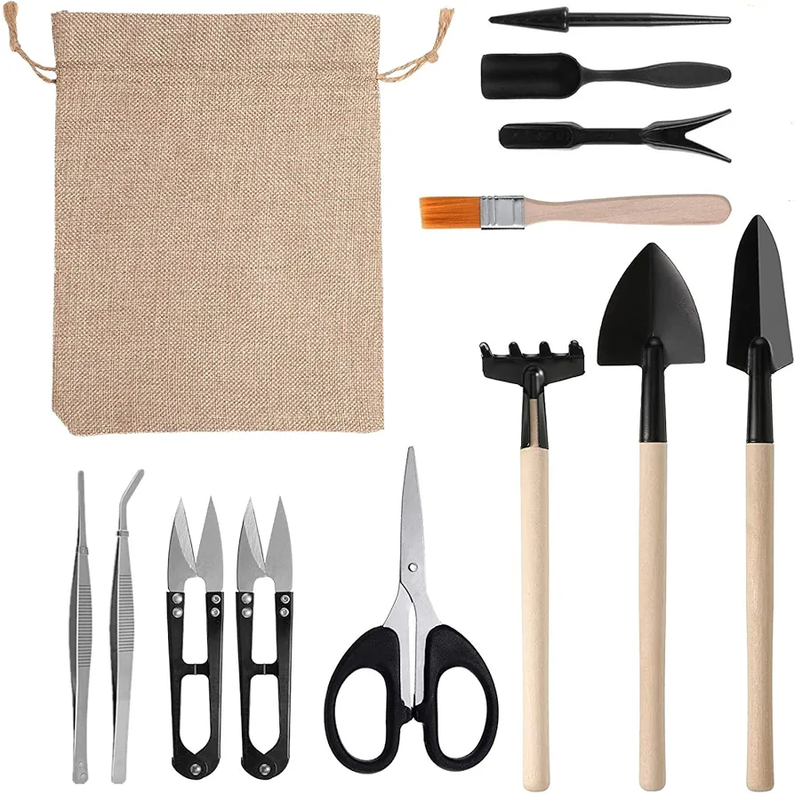 Bonsai Tools Set, 12 PCS Gardening Trimming Tools Set Bonsai Tree Succulent Care Kit Include Transplanting Tools Set, Scissors, Shovels, Rake in Storage Bag