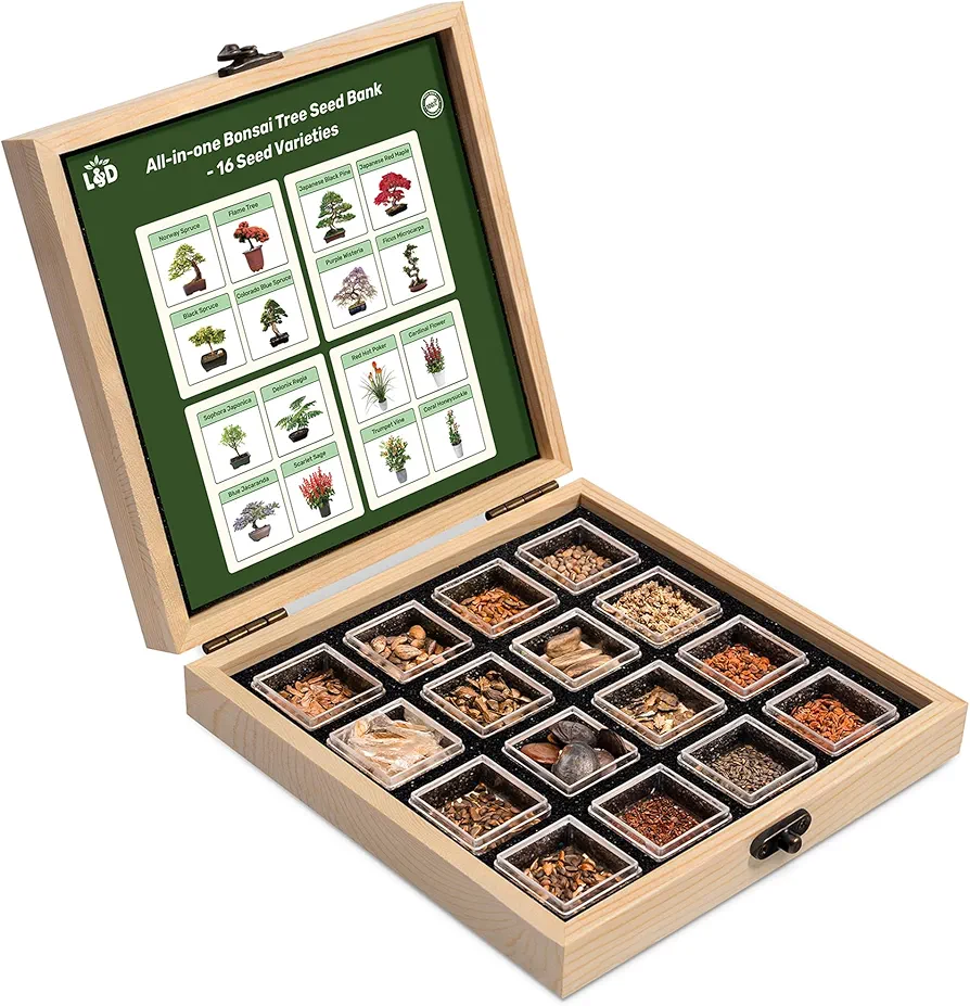 Lush&Dew Bonsai Tree Seed Bank, 16 Varieties Over 500 Non-GMO Bonsai Seeds, Handcrafted Wooden Seed Box, Gardening Gift for Men and Women