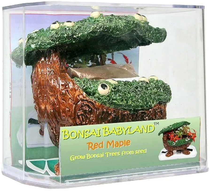 Eve's Bonsai Babyland Red Maple Seed Kit, Complete Kit to Grow Red Maple Bonsai Trees from Seed, Unique and Exclusive Bonsai Babyland Planter